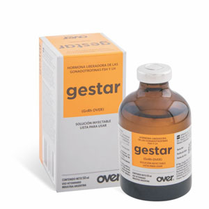 Gestar