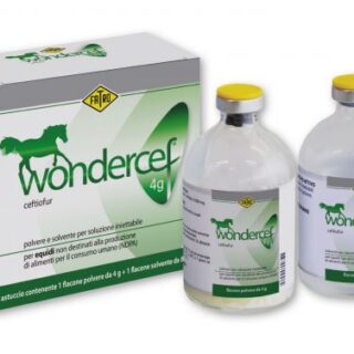 Wondercef