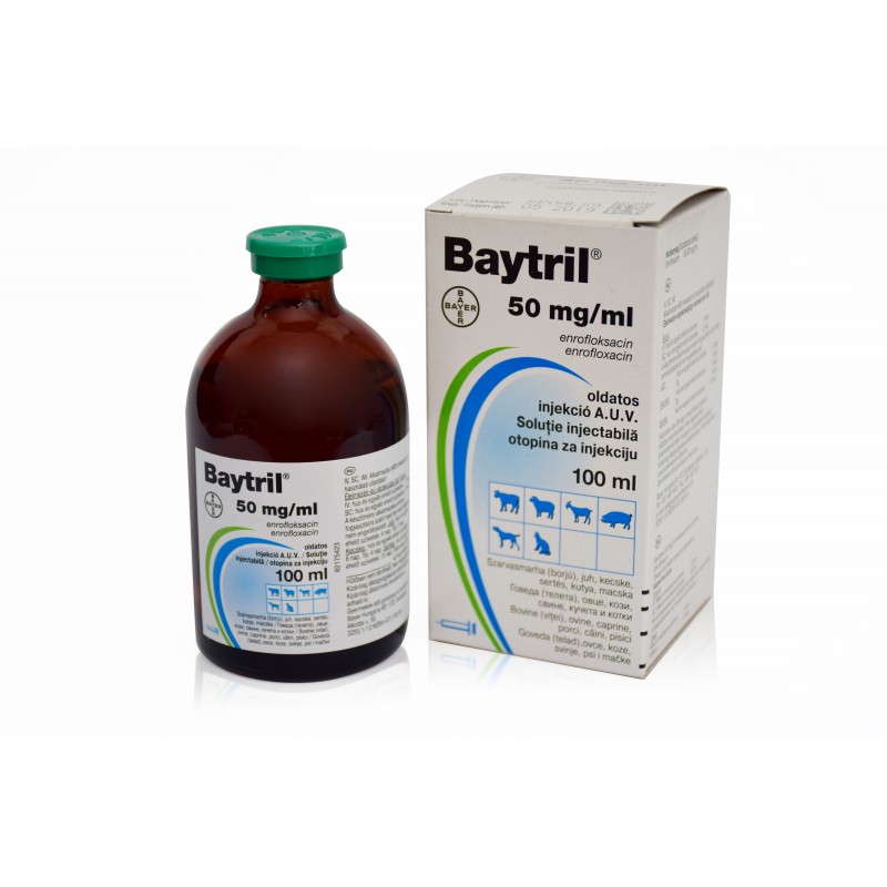 BAYTRIL 50 mg/ml Enrofloxacin Solution for Injection is a clear sterile