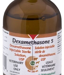 dexamethasone_5_100_ml