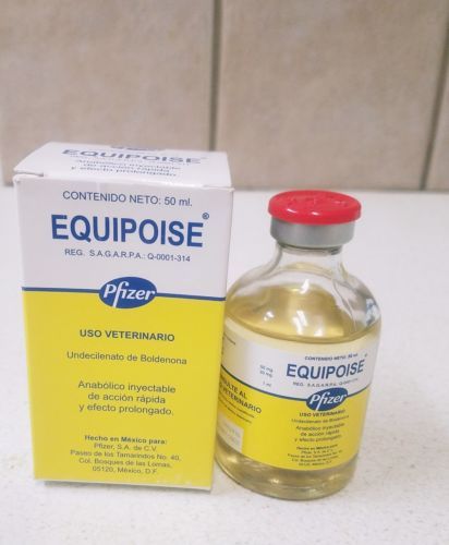 equipoise