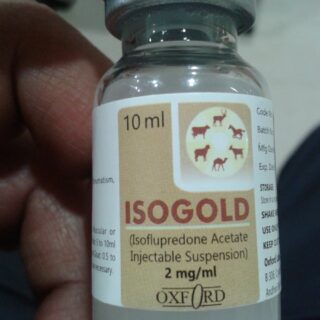 Isogold injectable 
