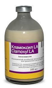 Clamoxyl LA – 100ml