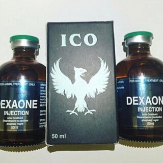 DEXAONE