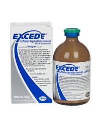 Excede Injectable