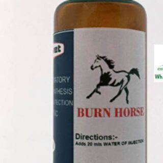 burn horse