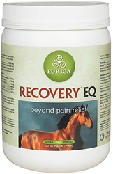 Recovery EQ Powder, 2.2