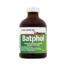 Batphol