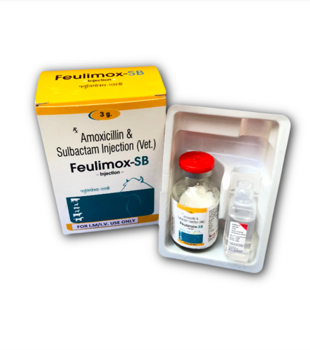 amoxicillin injection
