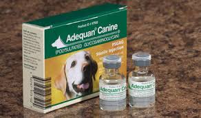 adequan canine