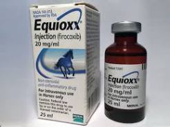 EQUIOXX