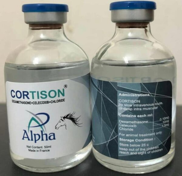cortison injection