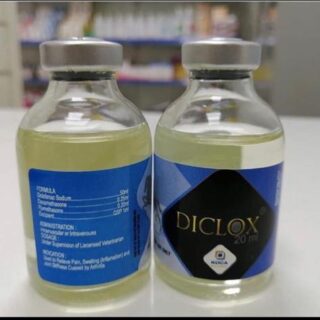 diclox injection