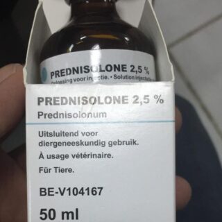 prednisolone 2.5 % injection