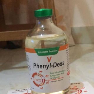 phenyl-dexa 100ml