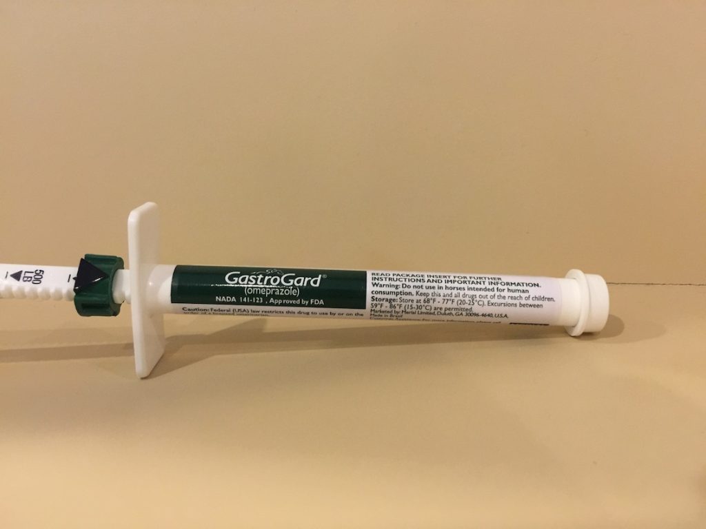 gastrogard-is-used-to-treat-existing-equine-stomach-ulcers