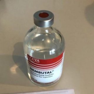 Nembutal injection