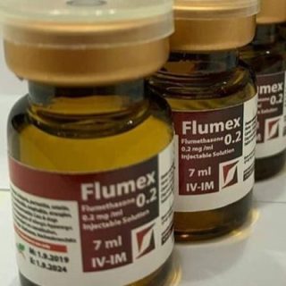 flumex 0.2