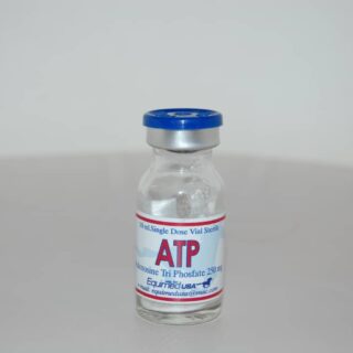 ATP INJECTION